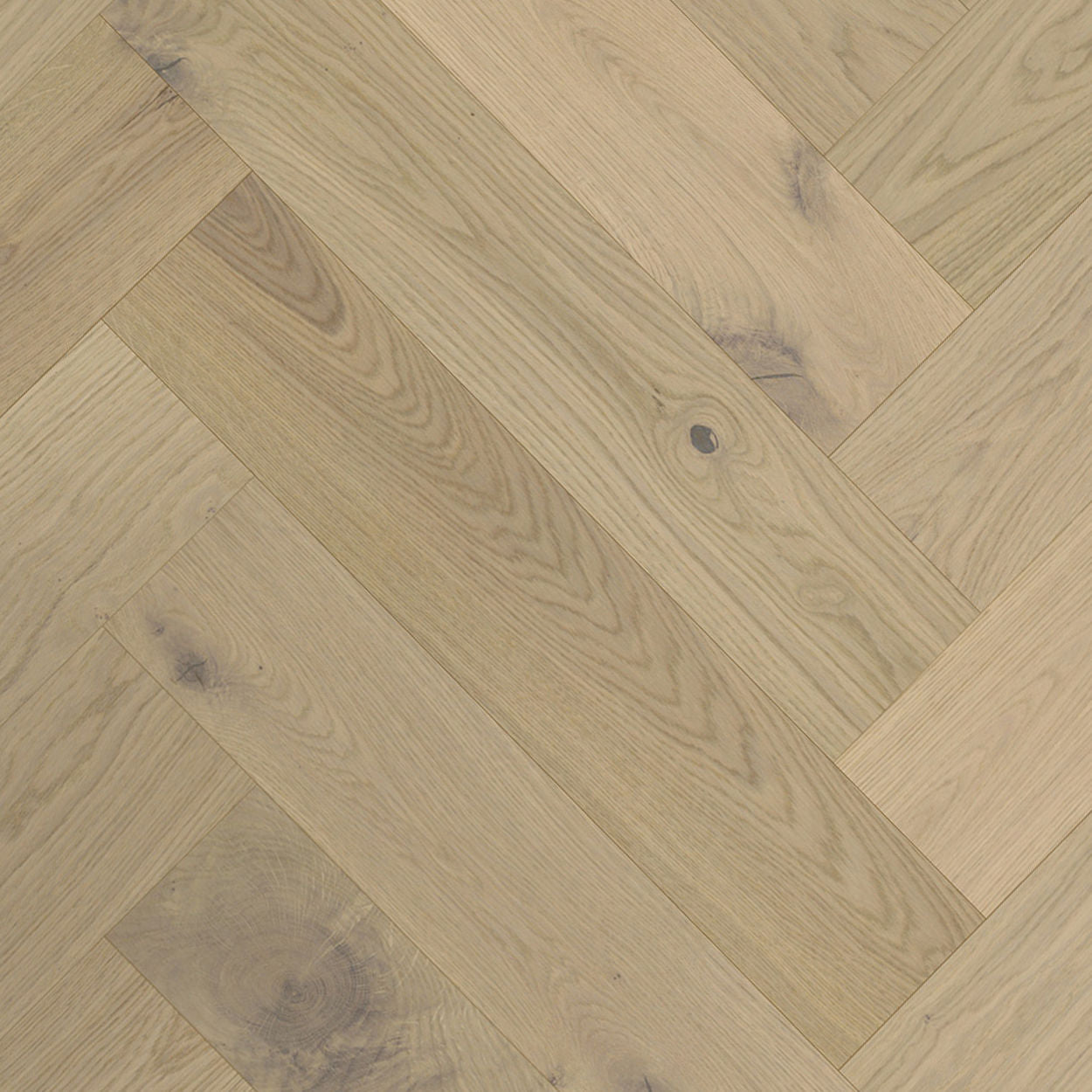 Engineered timber flooring in an Adelaide home — Goodwood Floors