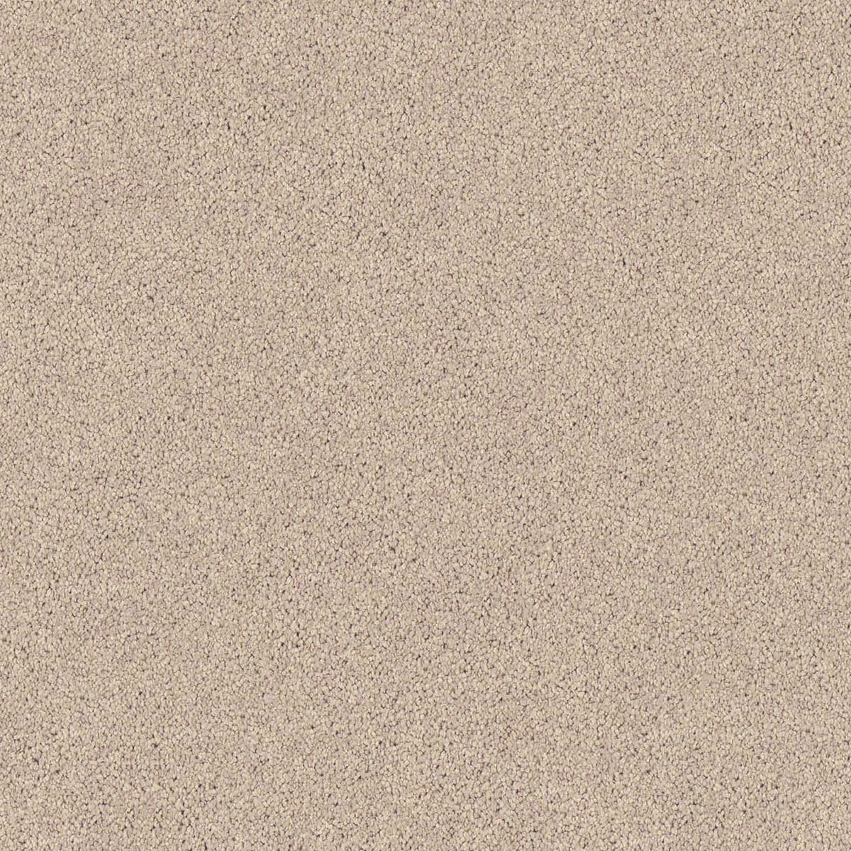 Regal Elegance – Fallen Oak