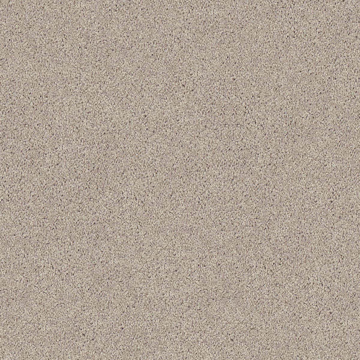 Regal Elegance – Willow