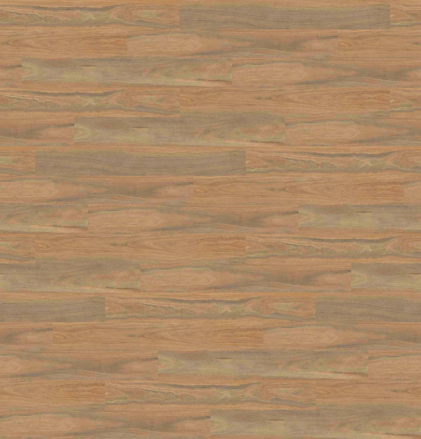 Spotted Gum
