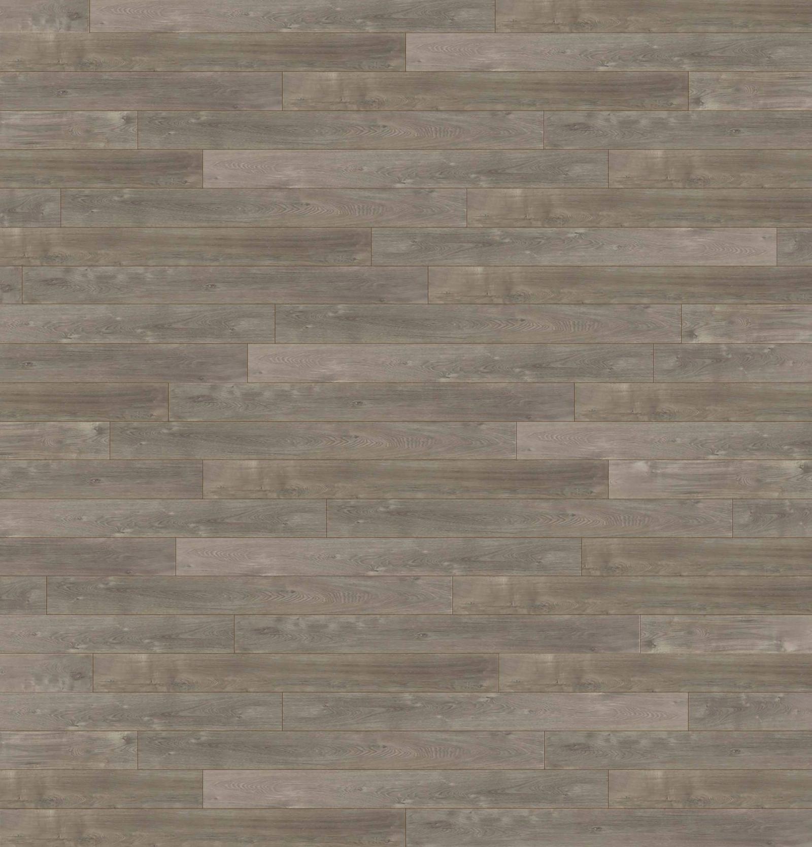 Sorrel Oak