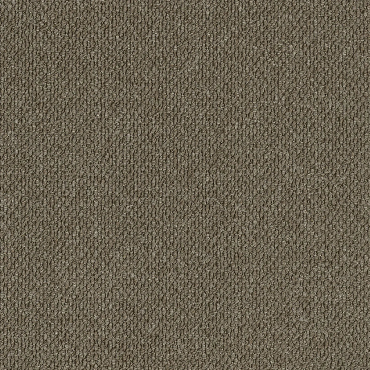 Summit Point/ EC Carpet