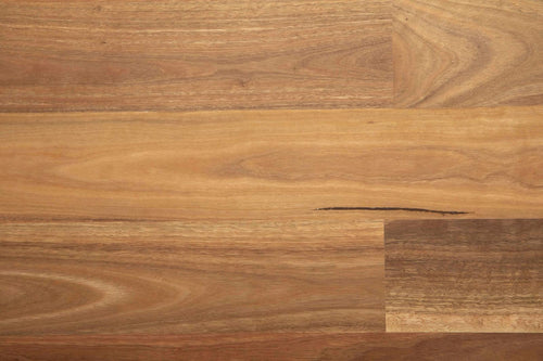Spotted Gum 136mm