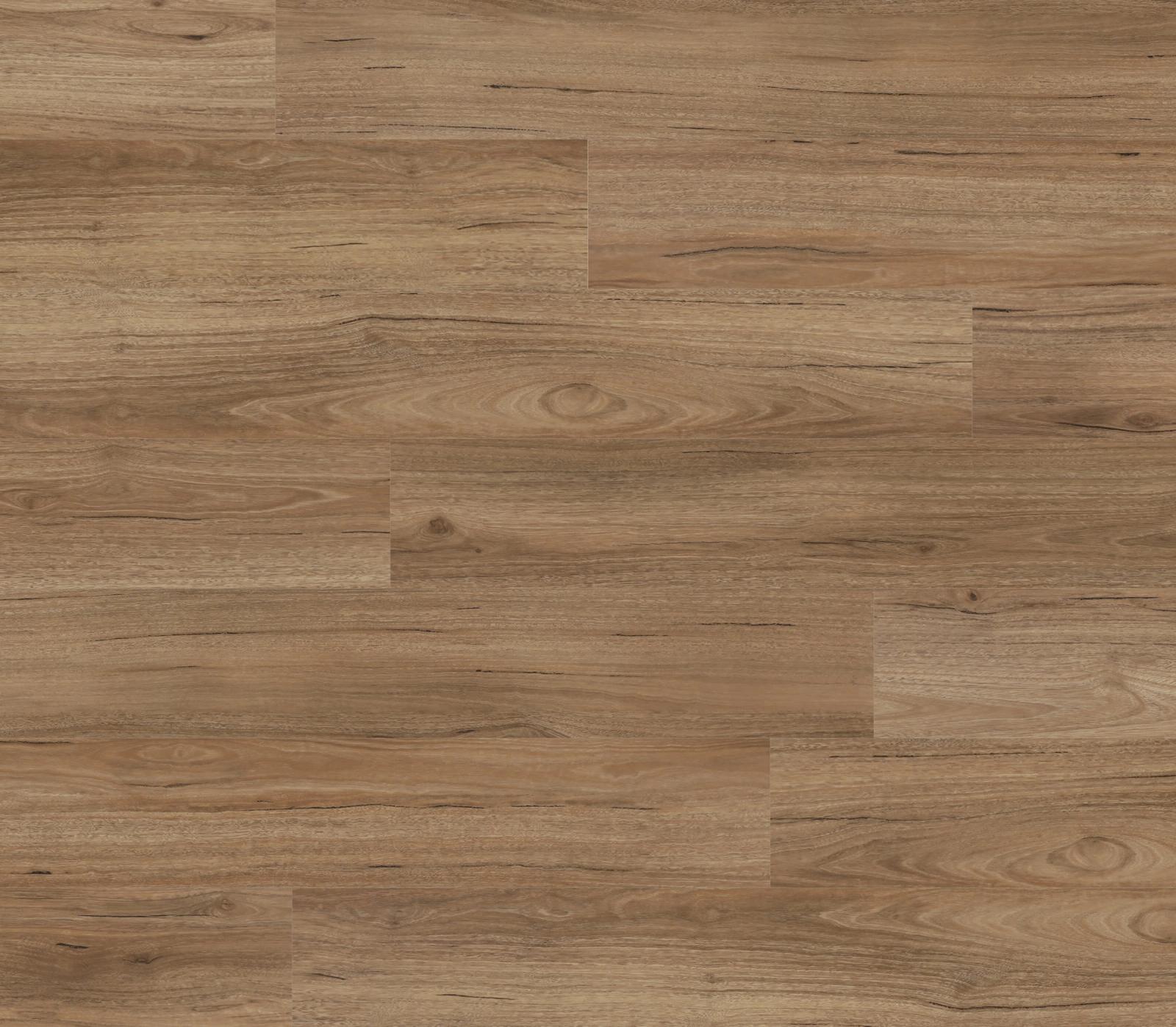 Coastal Spotted Gum Super 95