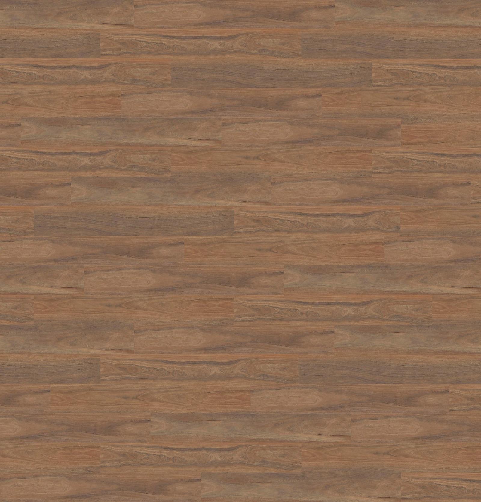 Spotted Gum