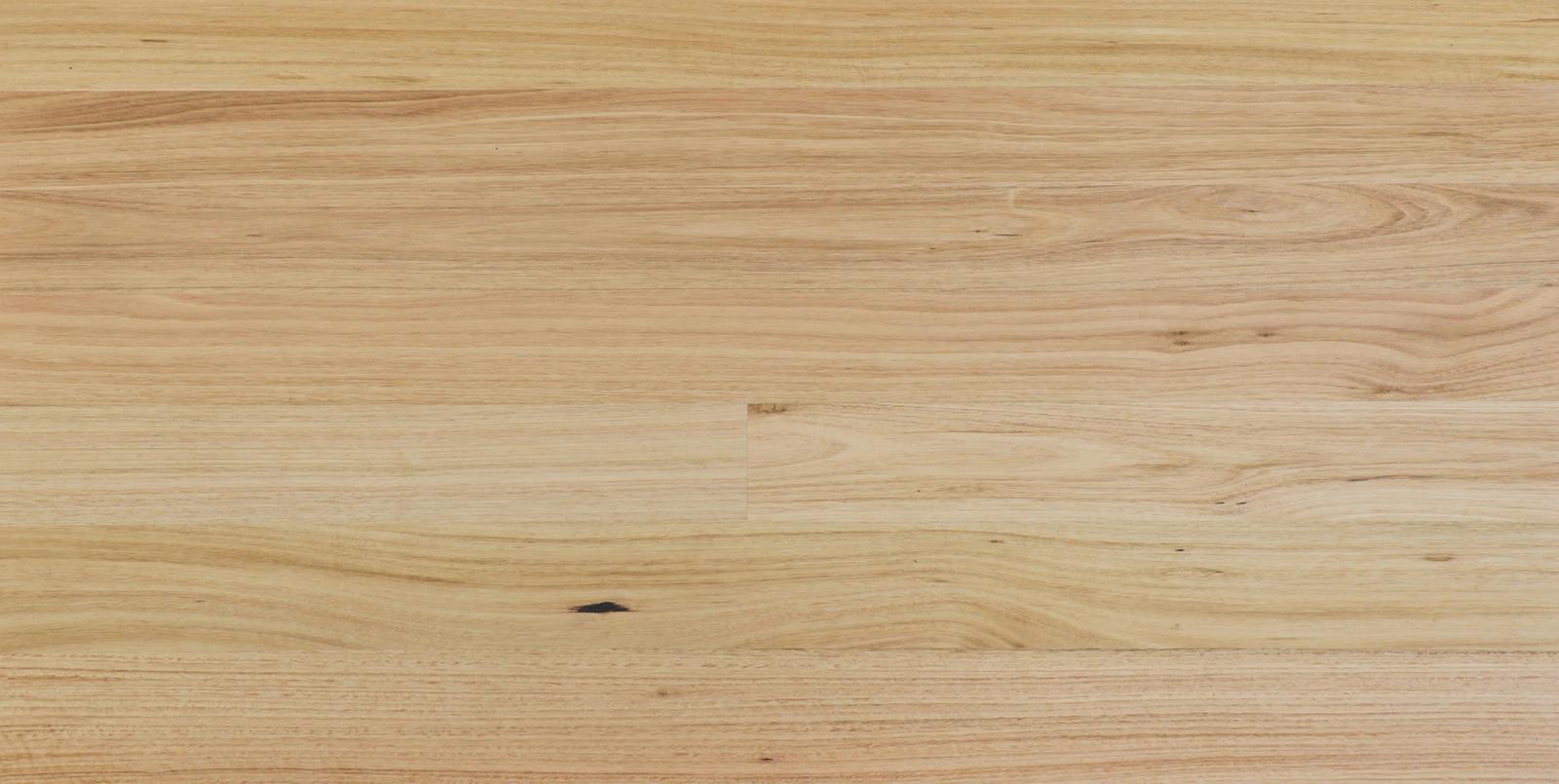 Tasmanian Oak 136mm