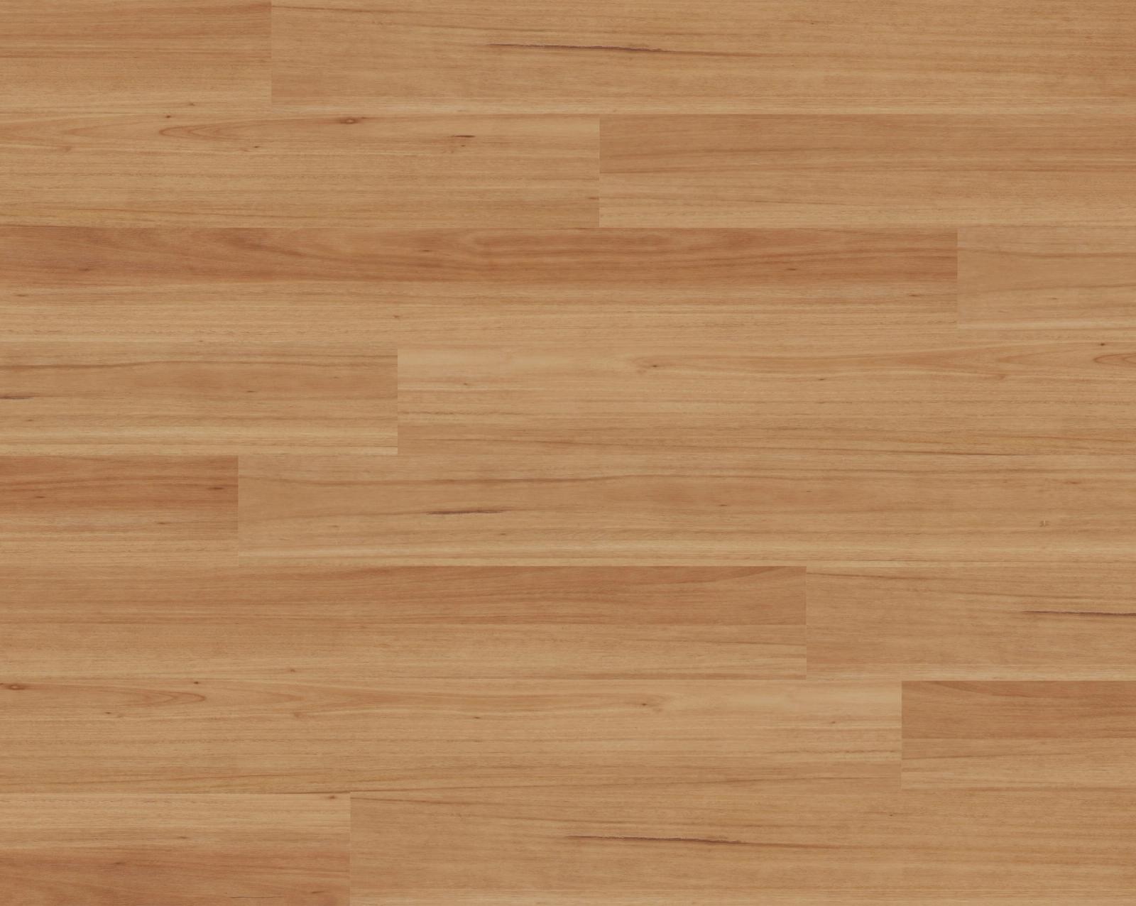 Blackbutt