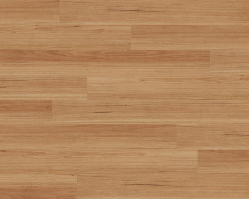 Blackbutt