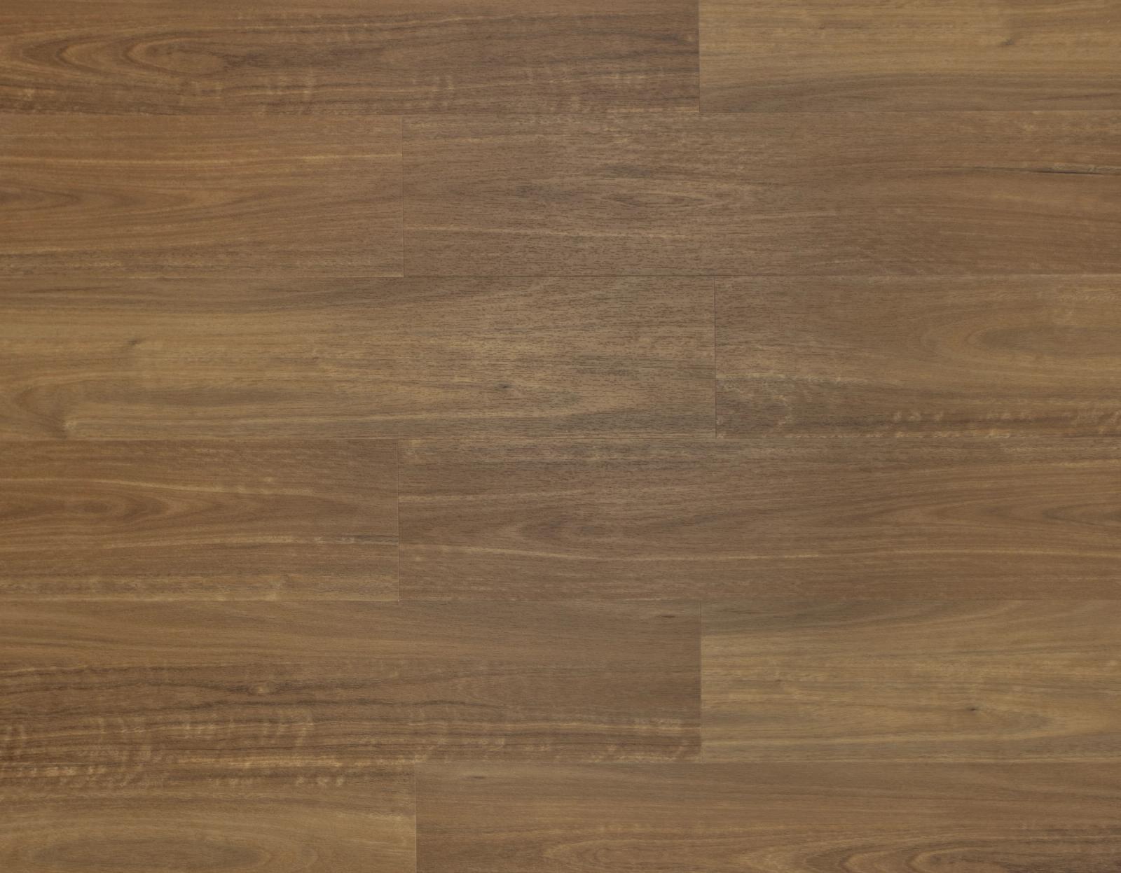 Vesper Spotted Gum