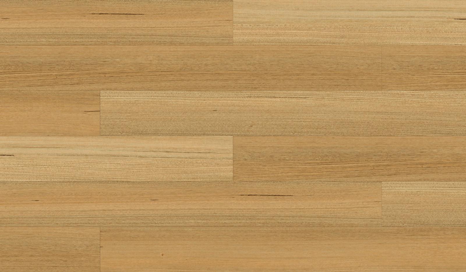 Tasmanian Oak