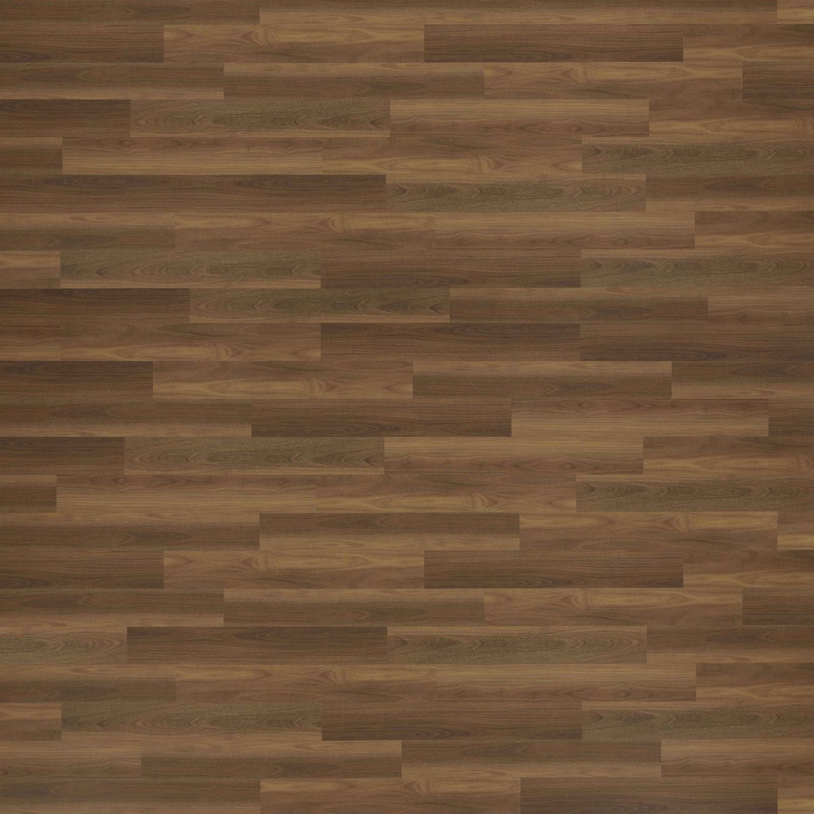 QLD Spotted Gum