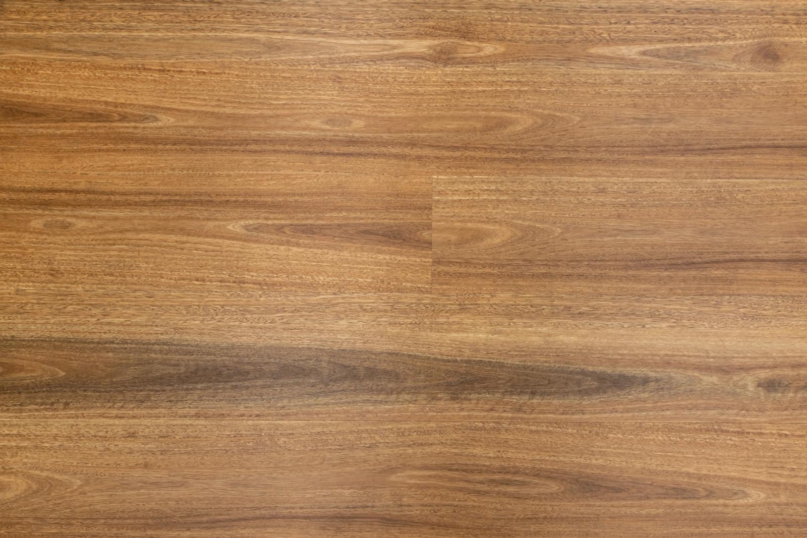 Spotted Gum