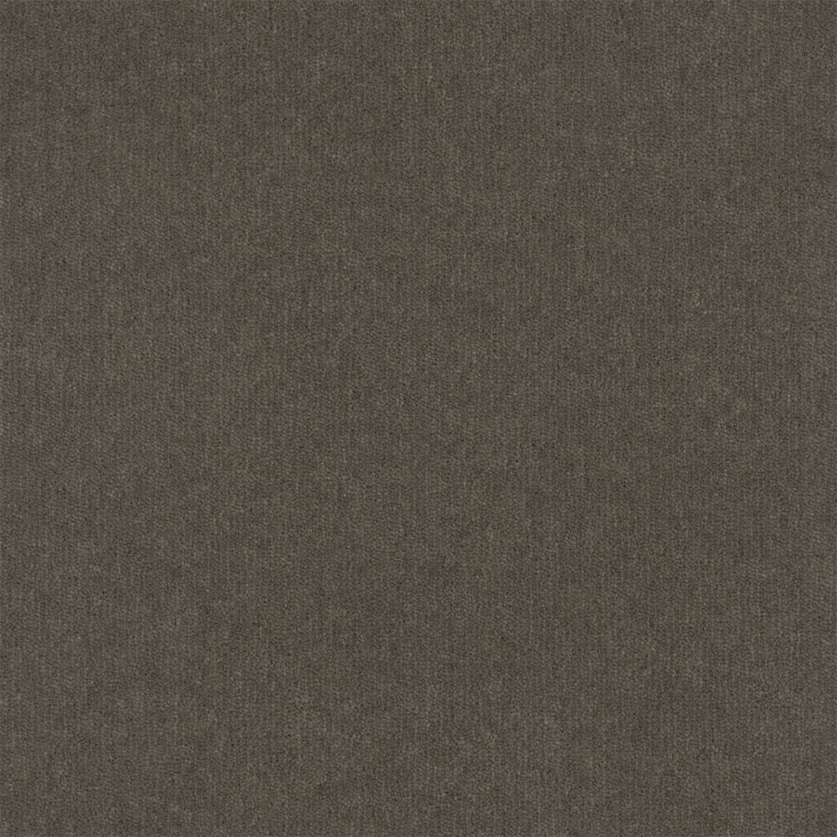 Pewter