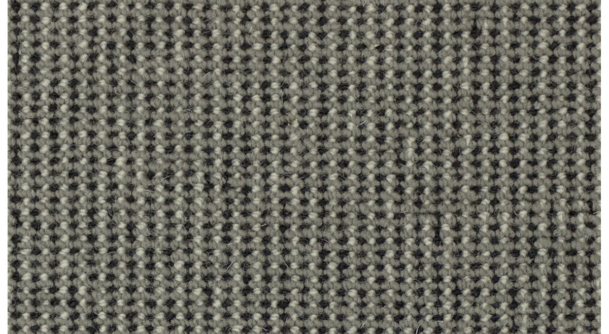 Echo