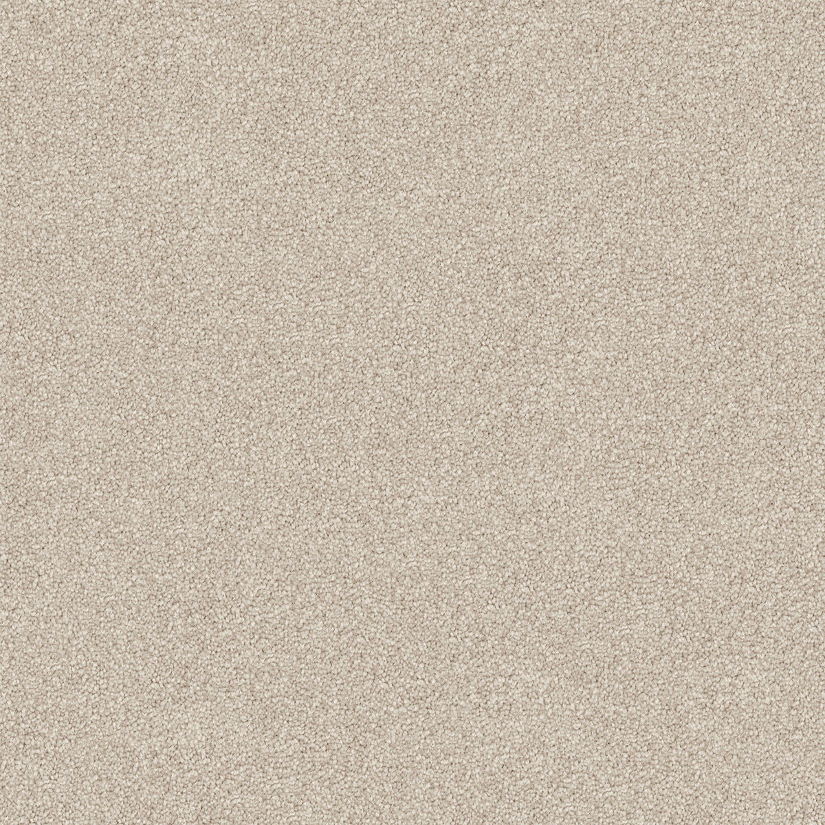 Sand Dune