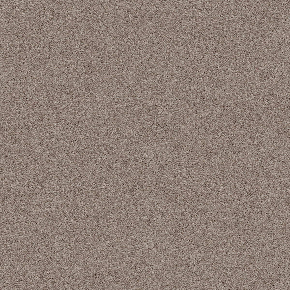 Soft Suede