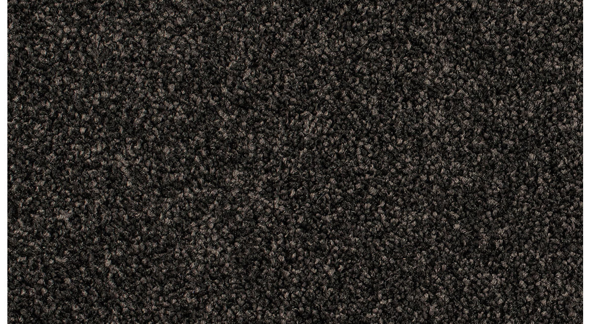 Coal