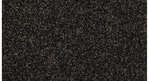 Coal