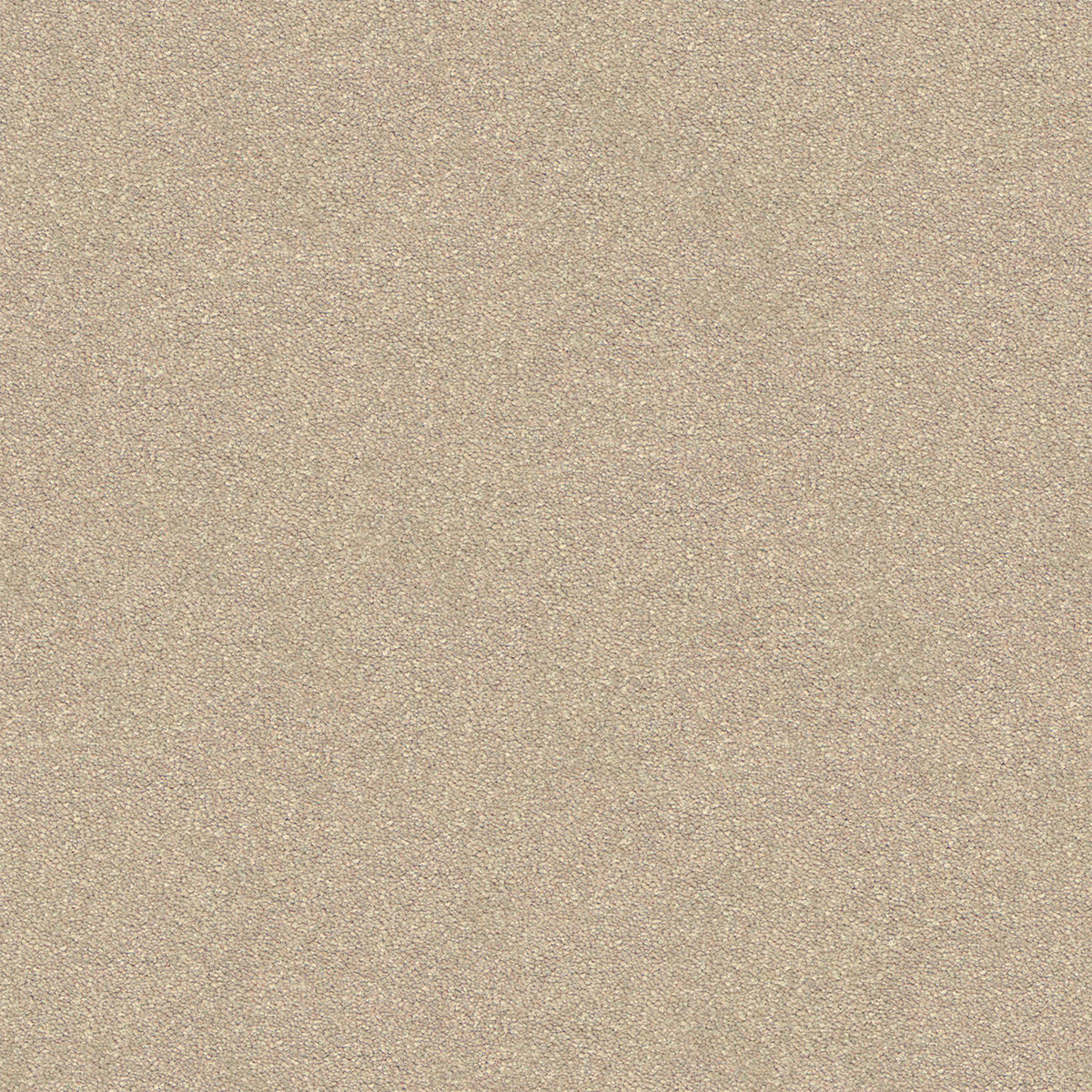 Sandrock