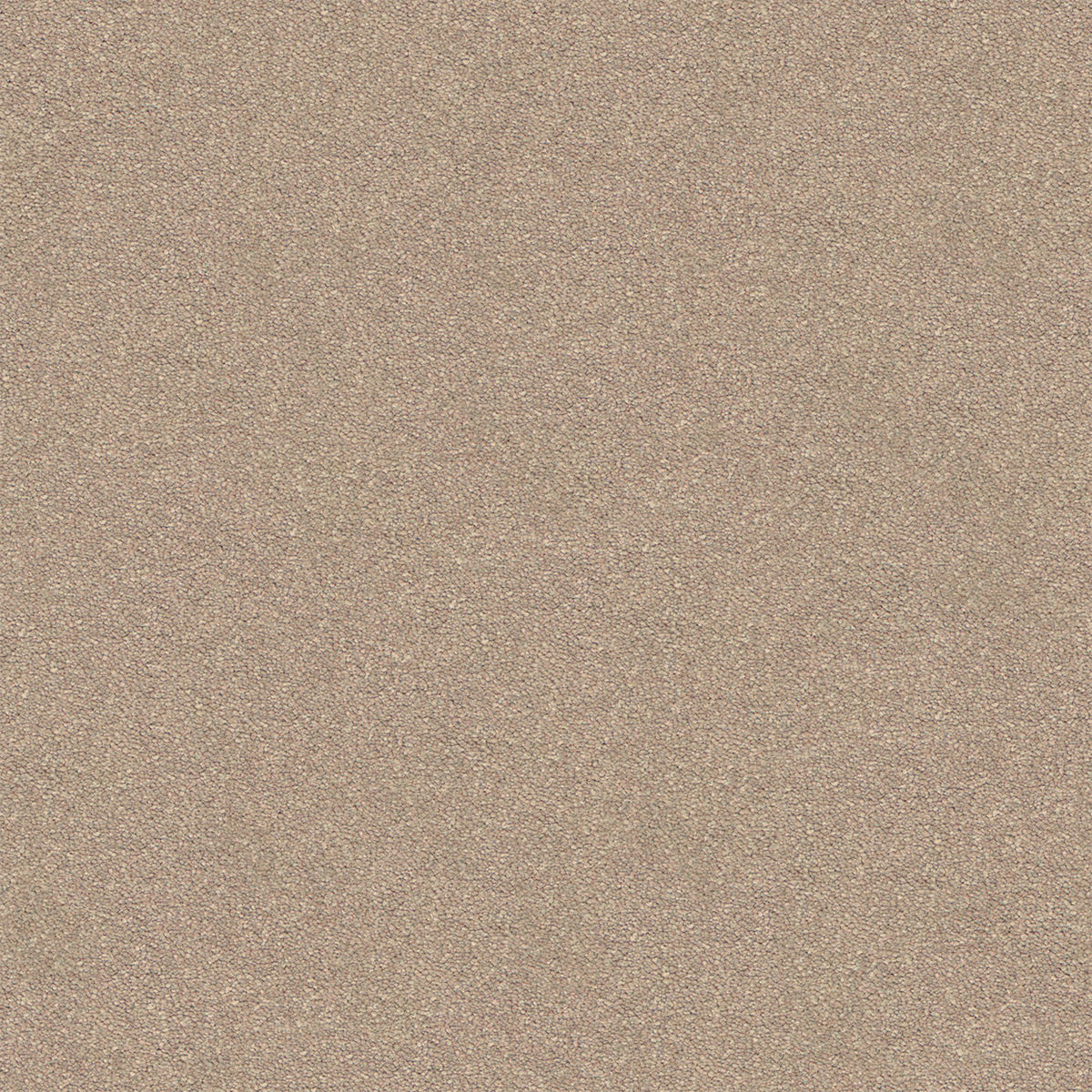 Warm Beige