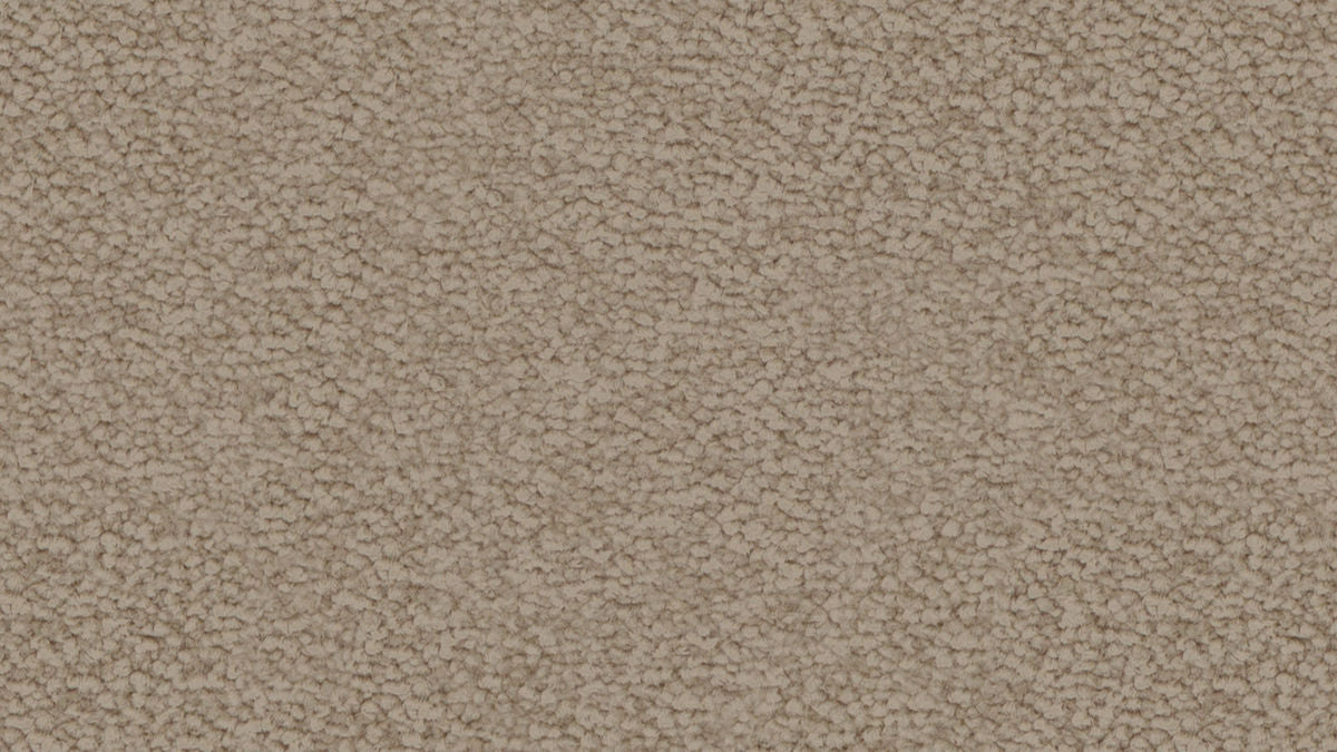 Acorn