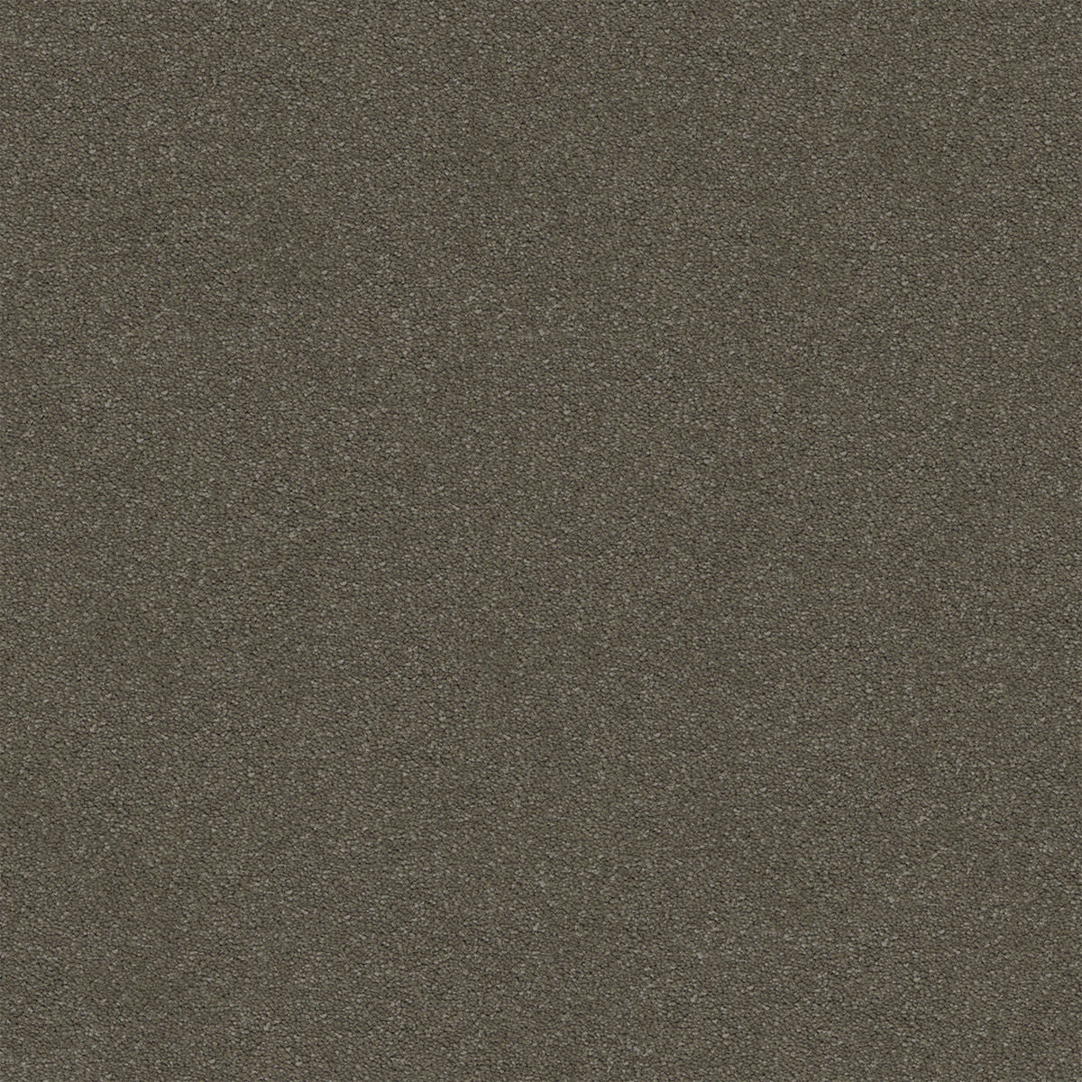 Cargo Stipple