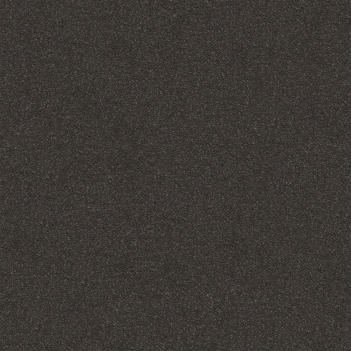 Shale Stipple