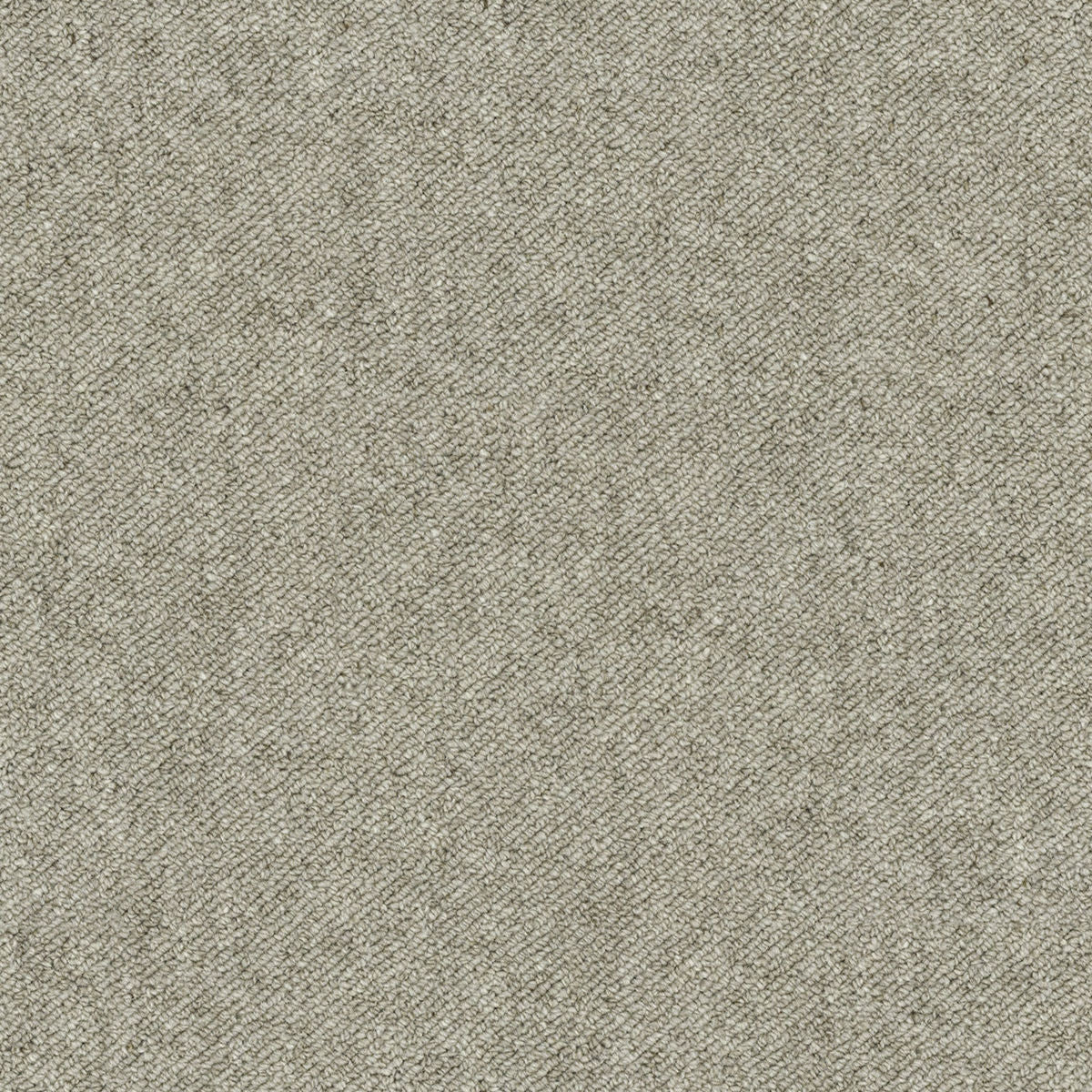 Sand Storm