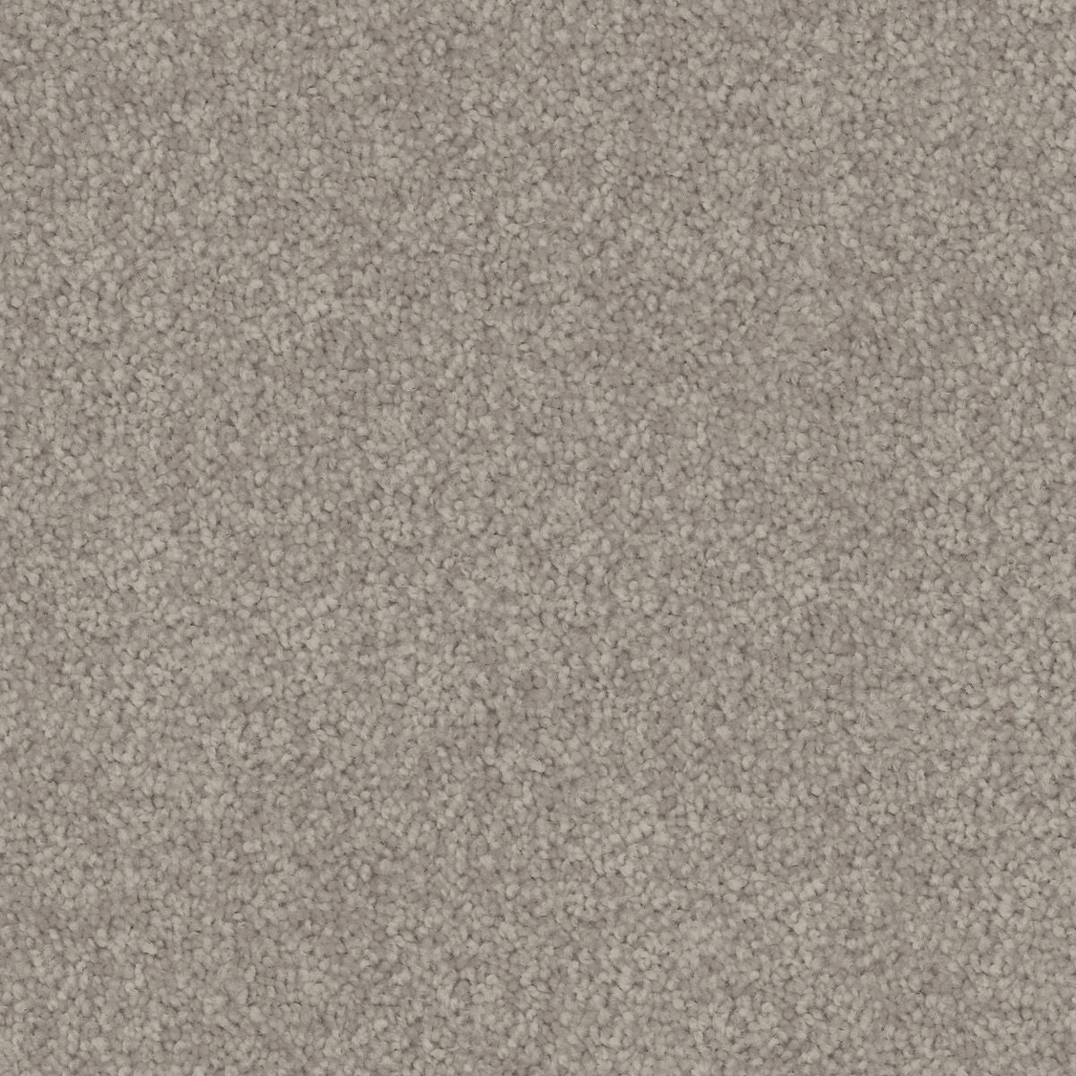 Dusty Grey