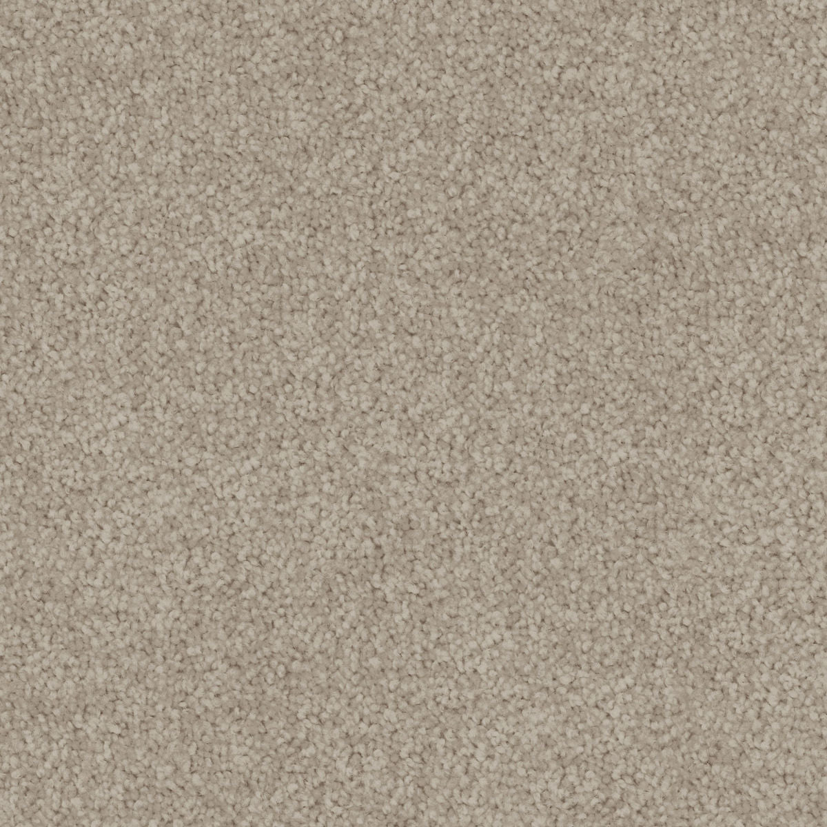 Aged Suede