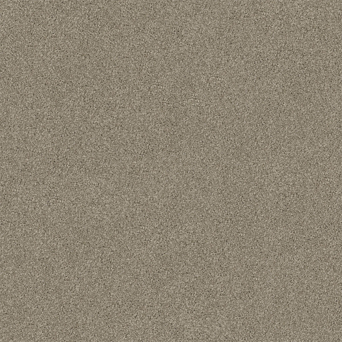 Canvas Wash