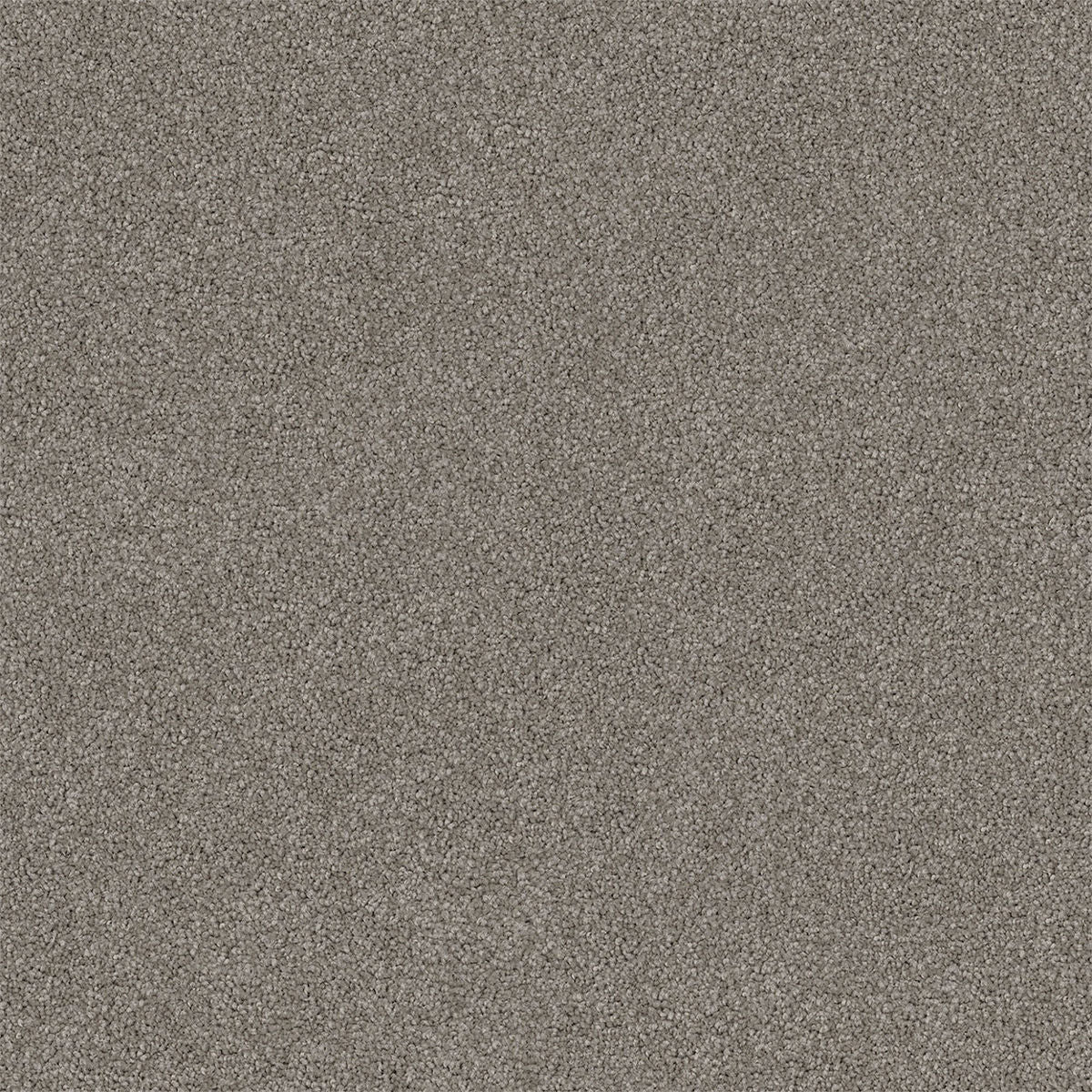 Ghost Grey