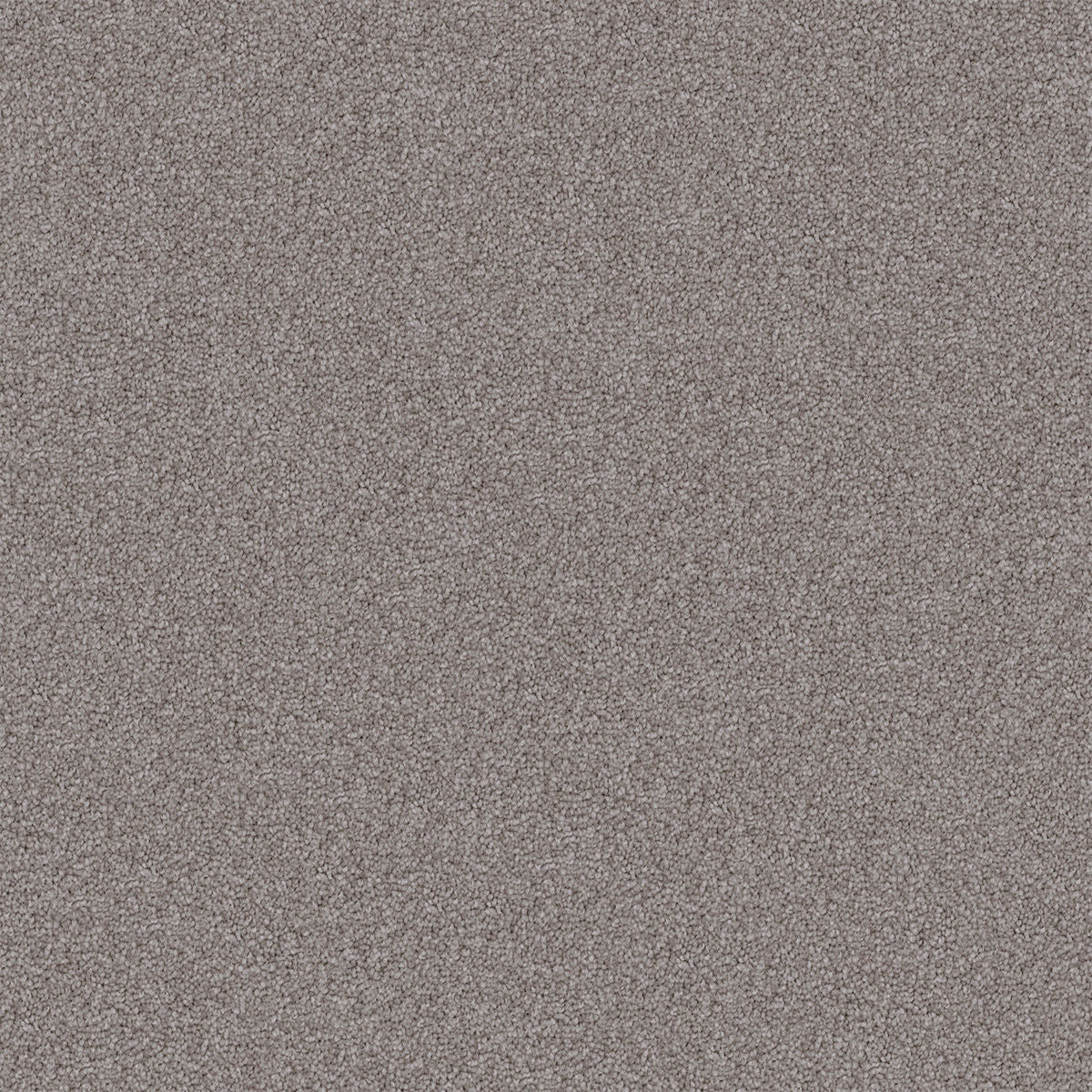 Temple Grey