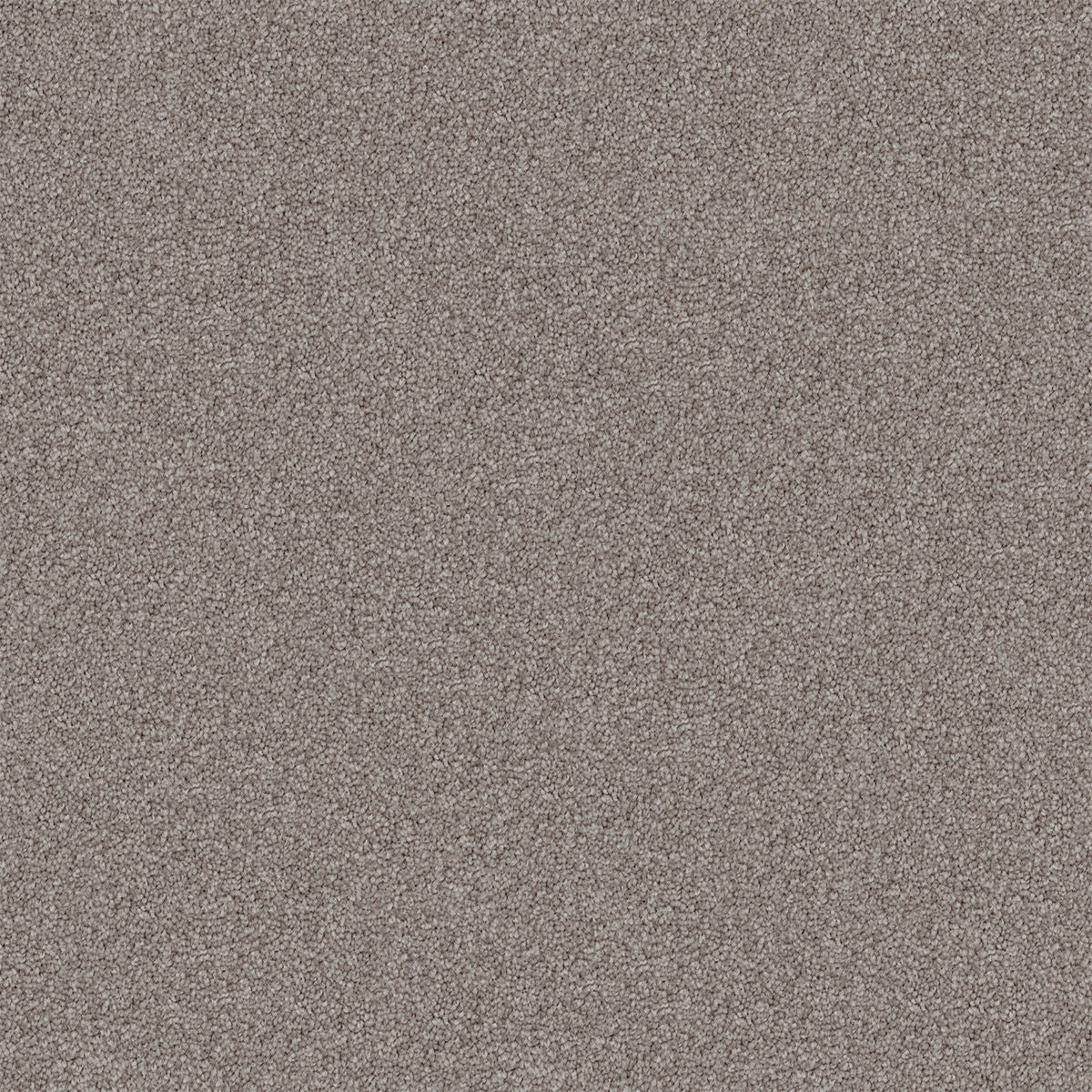 Studio Stipple