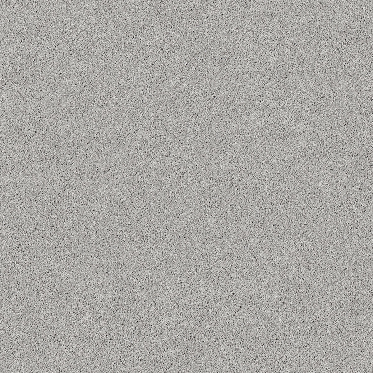 Whisper Grey