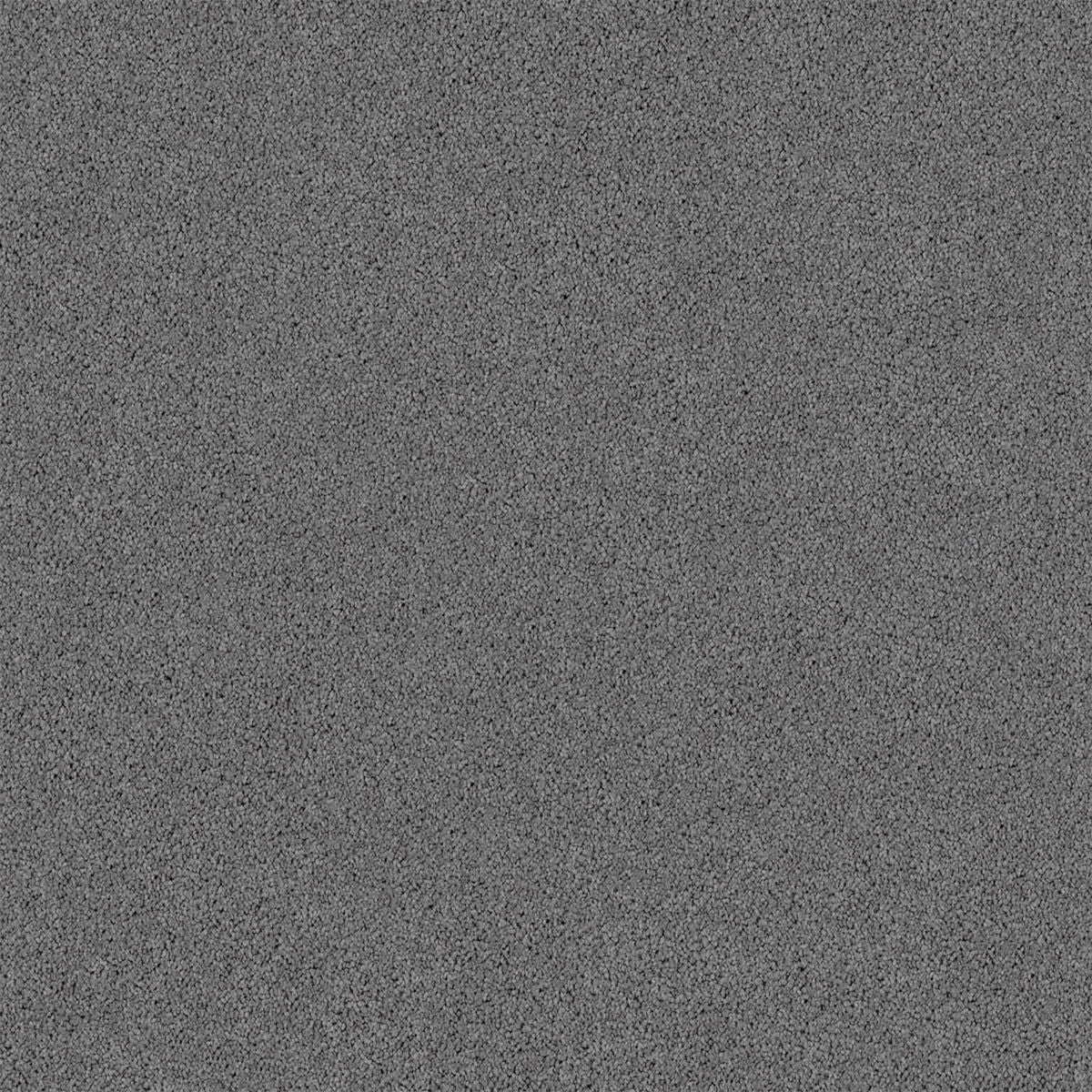 Mystic Grey