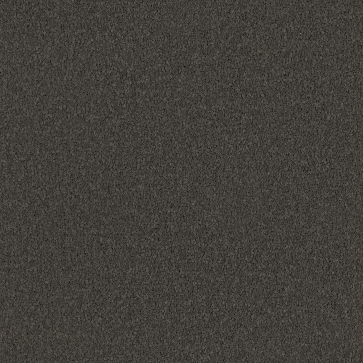 Storm Grey