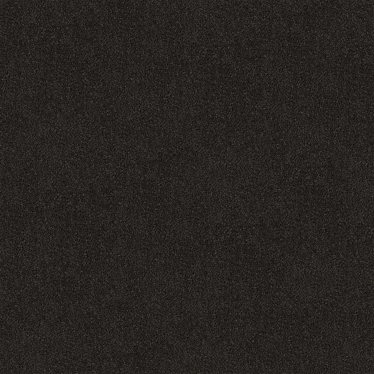Midnight