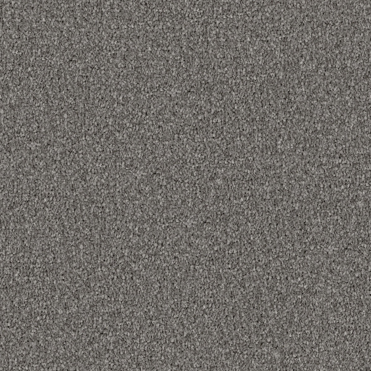 Mineral Stipple