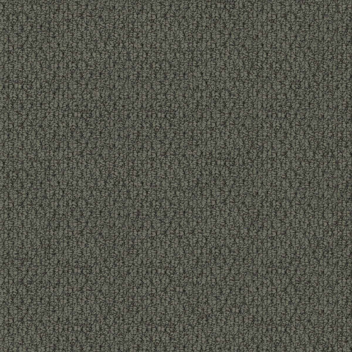 Grey Horizon