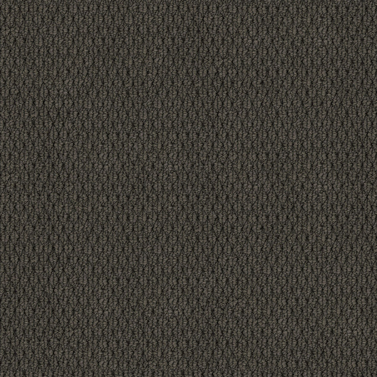 Dark Slate