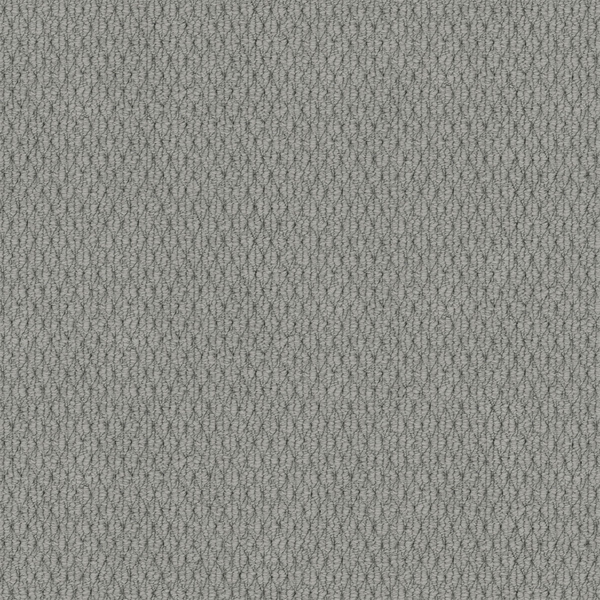 Arctic Grey