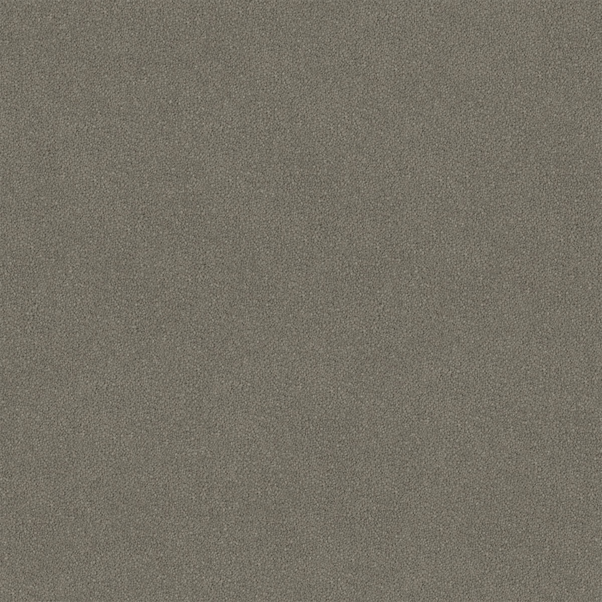 Grey Haze