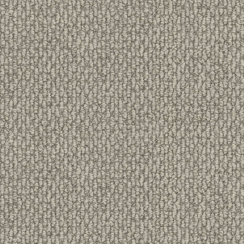 Bone