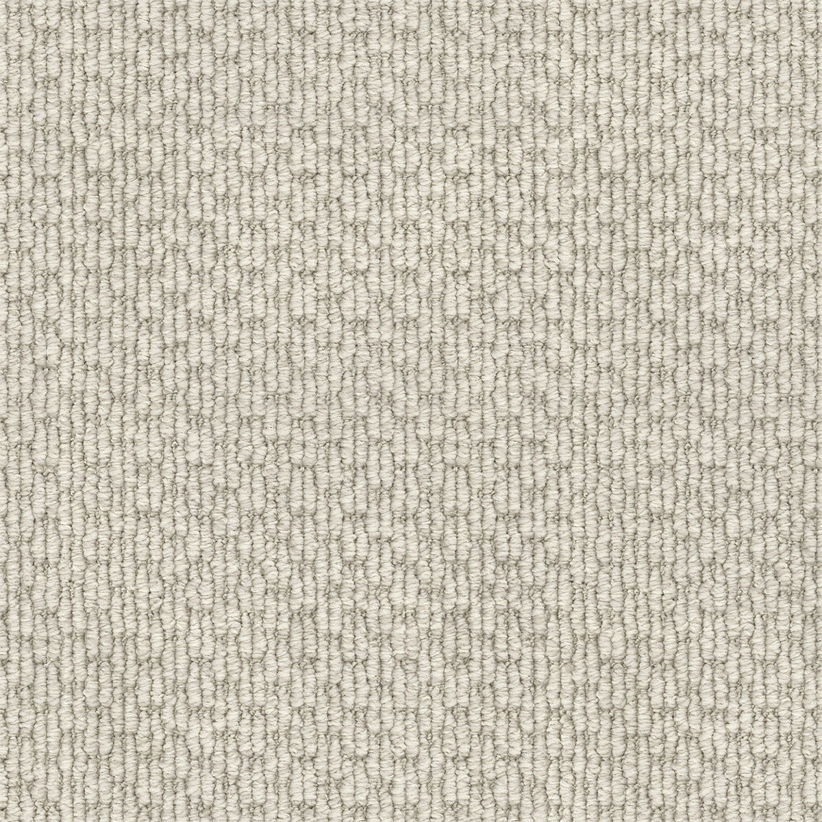 White Beech