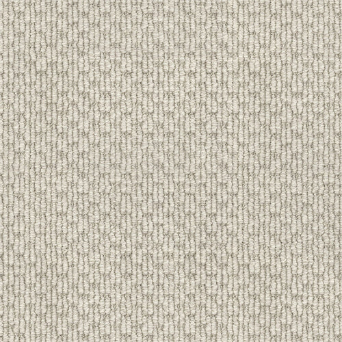 White Beech