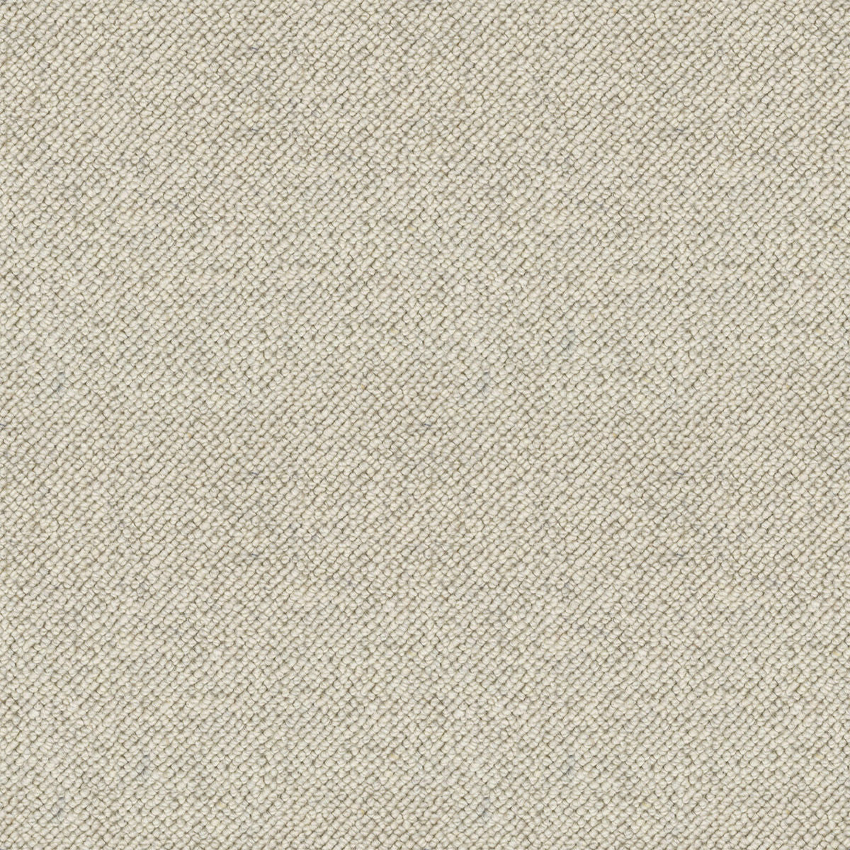 Bone White