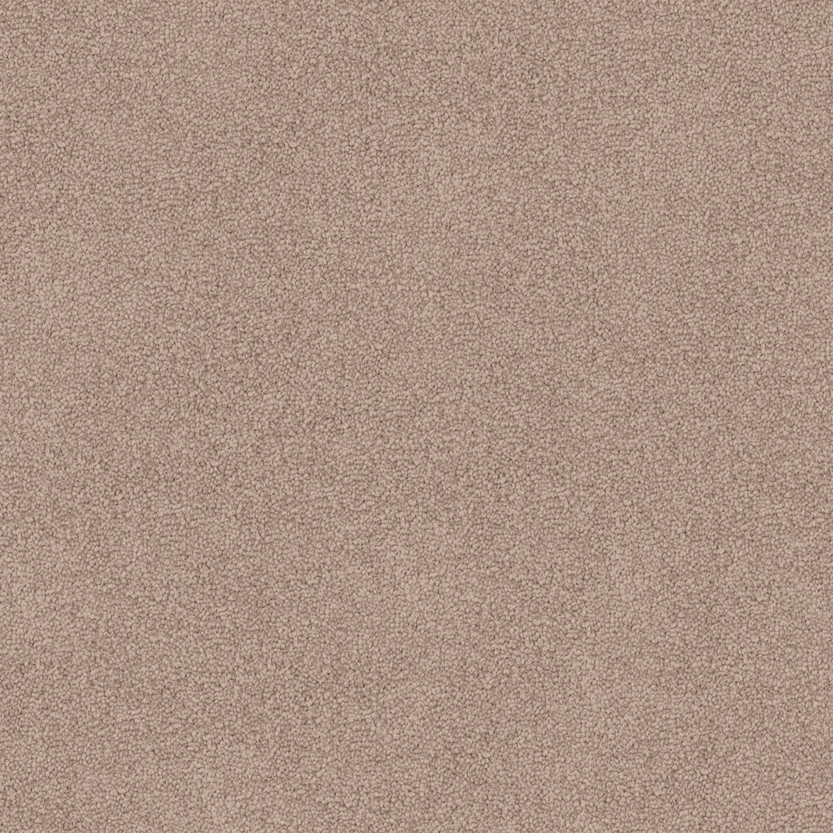 Stone Beige