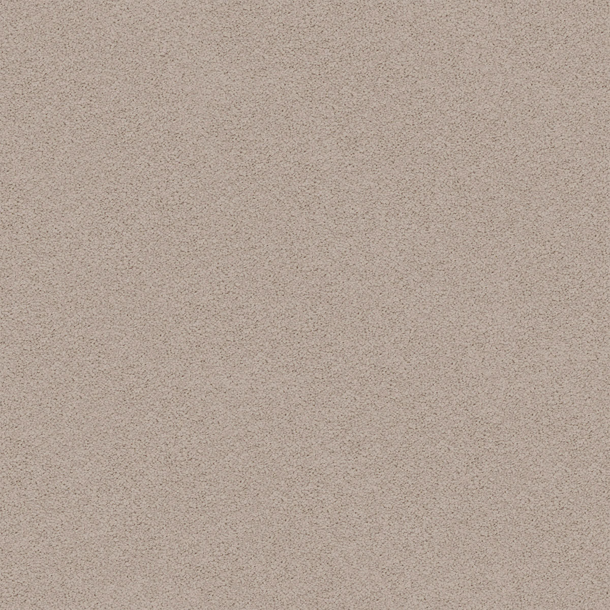 Pebble Grey