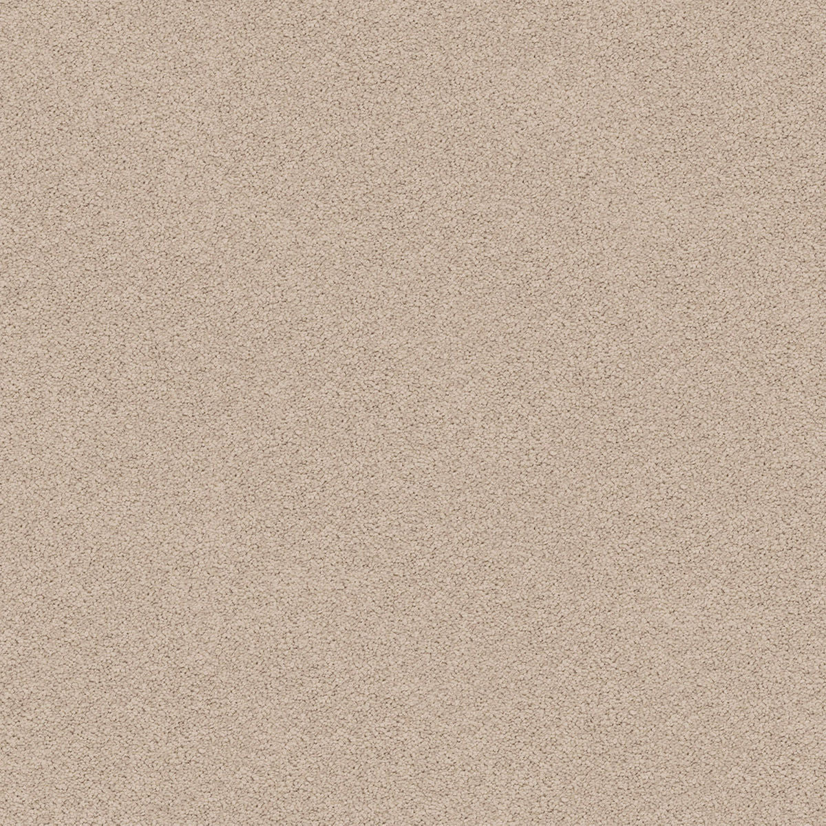 Blank Canvas